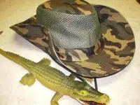 Hat2.webp