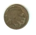 buffalo nickle.webp