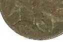 close up of date.webp