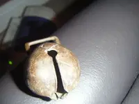 2006072910186444997_fs.webp