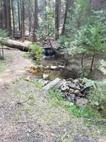 20170719_105847.webp 20170719_105847.webp