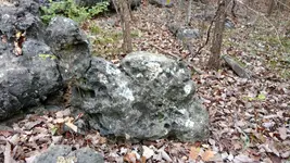 IMG_20171021_153306441.webp