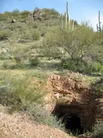 Joy Walk 027.webp