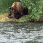 8b681e3bcc58a3b7f15340002ce4462a.gif