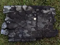 DSCN1247.webp