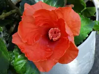 K1600_DSCN5059.webp