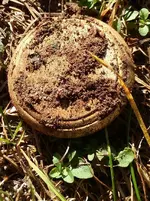 20171003_090629(0).webp