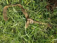 20171202_131019.webp