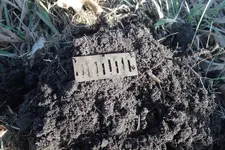 Rocky's Cellar Hole Hill Buckle Score 001.webp Rocky's Cellar Hole Hill Buckle Score 001.webp