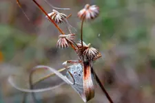 CRW_2873_edit.webp CRW_2873_edit.webp