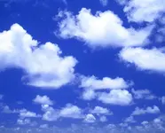 3E556316-7B74-4ABC-A9BA-7326BA697BCA.webp