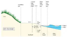 Figure2.webp