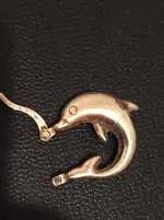 dolphin2.webp