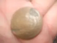 DSCF1805.webp