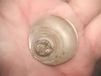 DSCF1806.webp