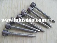 Lead_Head_nail.webp