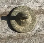 button8.webp button8.webp