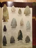 ImageUploadedByTreasureNet.com1508038296.336069.webp
