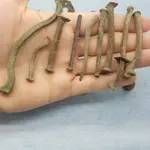 20171113_131450.webp