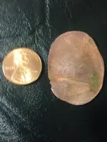 Hammered Penny.webp