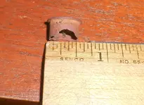 DSCN6913.webp