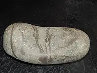 rock.webp