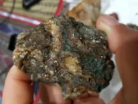 20171015_001130.webp
