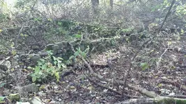 1106171107.webp