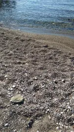 IMG_20171015_110205.webp