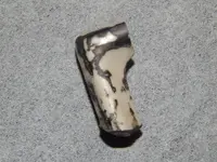 DSCN7986.webp