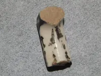 DSCN7987.webp