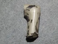 DSCN7988.webp