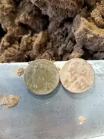 nickle 2fer.webp
