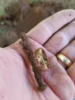gold nail.webp