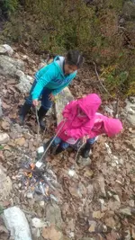 marshmallows.webp