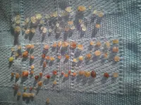 20171029_081254.webp