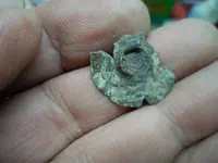 button 007.webp