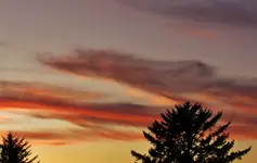 10-4 sunset 001.webp