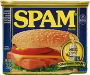 spam_classic.webp
