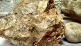 rocks 2.webp rocks 2.webp
