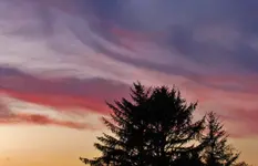 10-4 sunset 011.webp
