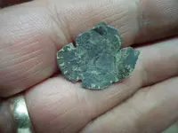 button 008.webp