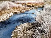 IMG_20171213_113114.webp