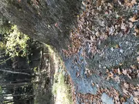 2017-10-29 11.49.07.webp