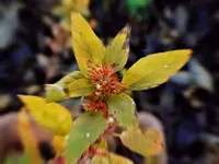 DSCN1141.webp
