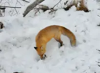 DSCN3183.webp