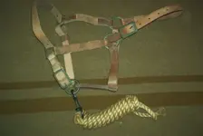 horsegear_POSTWAR_halter-headstall_US1904model_made-by-RockIslandArseal_dated1915_IM001753.webp