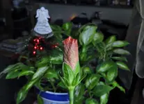 K1600_DSCN5758.webp