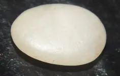 DSCN8008.webp