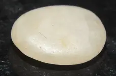 DSCN8011.webp